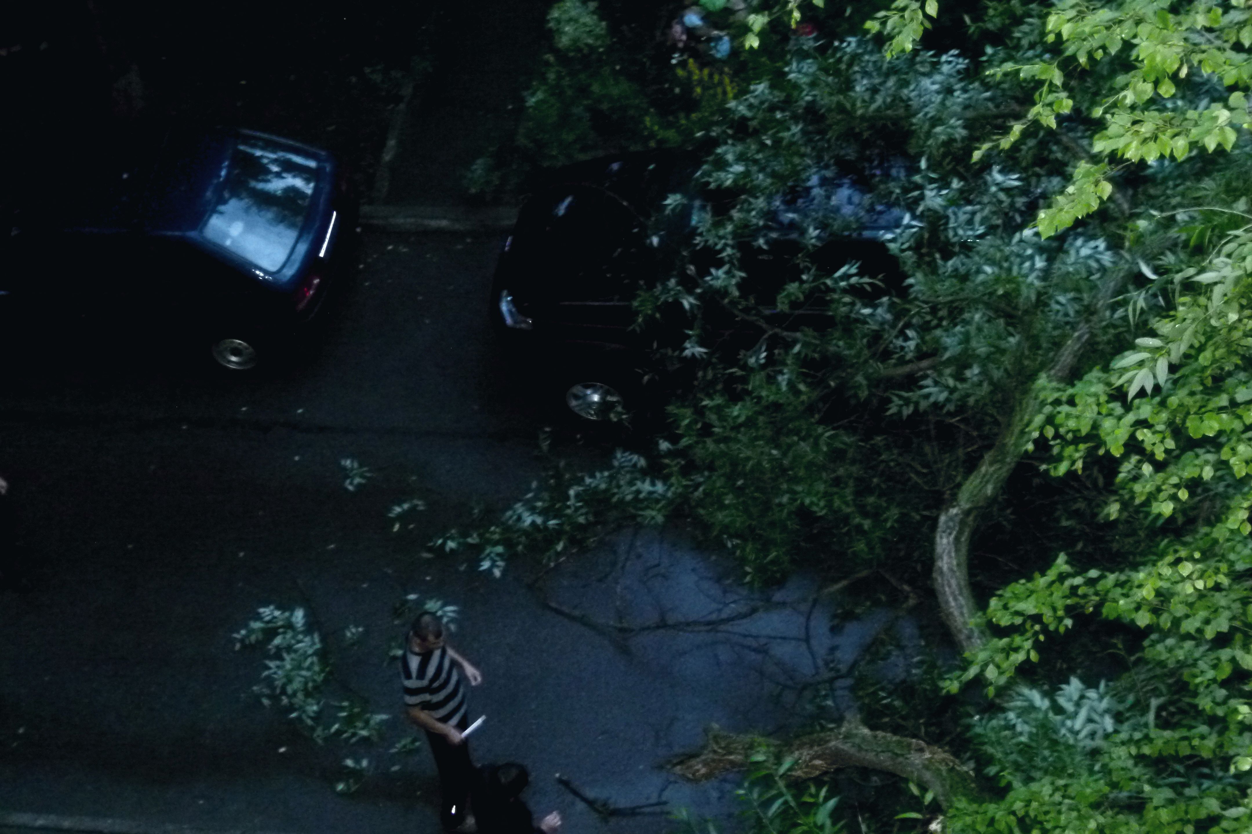Упало дерево на автомобили на улице 50 лет ВЛКСМ города СТаврополя