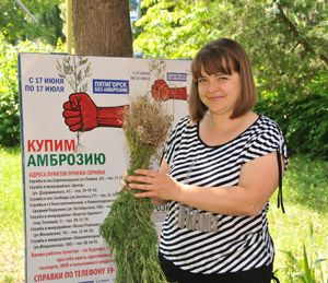 Ставрополье продолжает бороться с амброзией