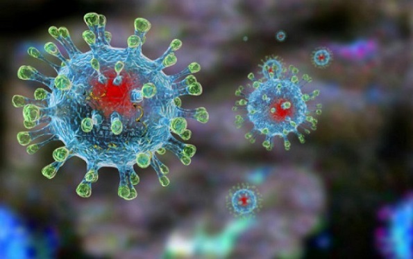 Количество заболевших коронавирусом