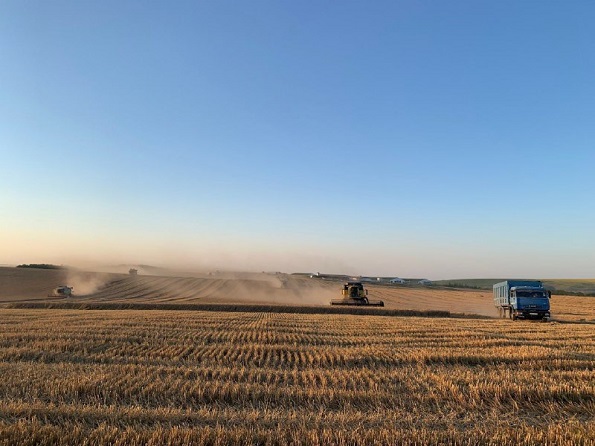 В Предгорном округе посев озимых зерновых