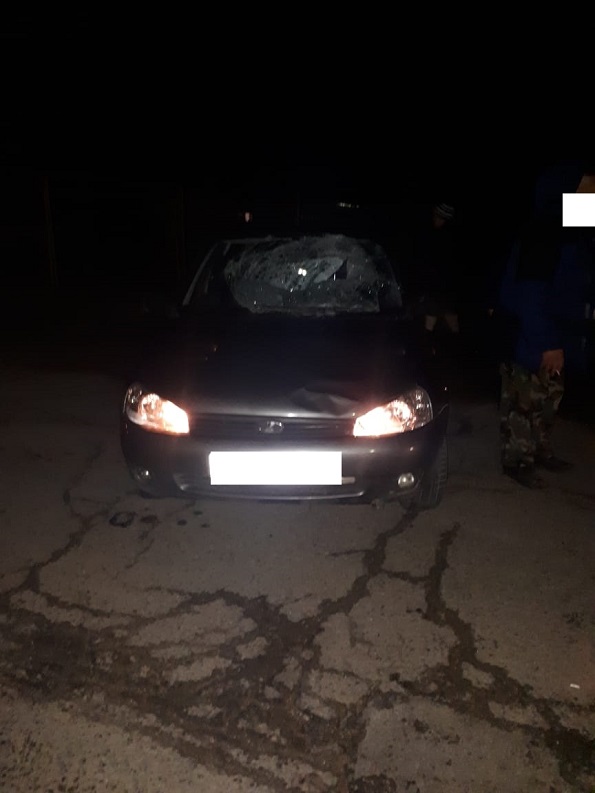 В Шпаковском районе пьяный водитель сбил двоих детей-пешеходов