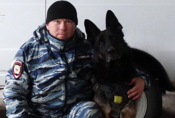 Служебная собака Аполлон помогла ставропольским полицейским обнаружить крупную партию марихуаны