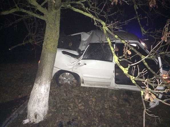 Пьяный водитель въехал в дерево в Будённовском районе