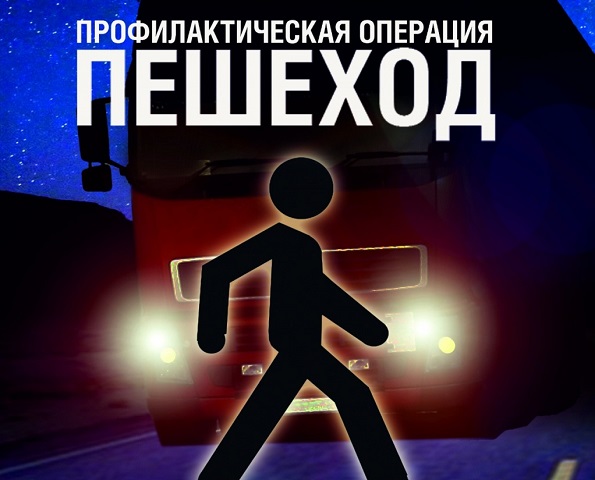 Профилактическая операция «Пешеход» проводится на Ставрополье