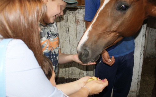 Иппотерапия: маленькие пациенты Ставропольской психиатрической больницы посетили конно-спортивный клуб