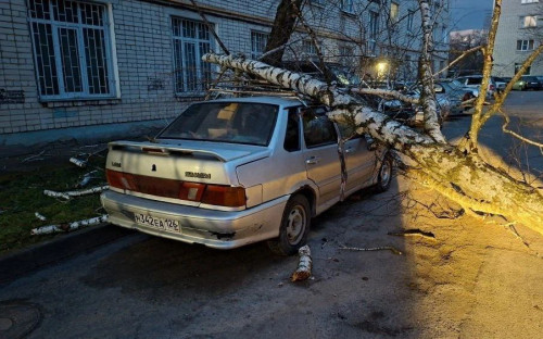Последствия ураганного ветра