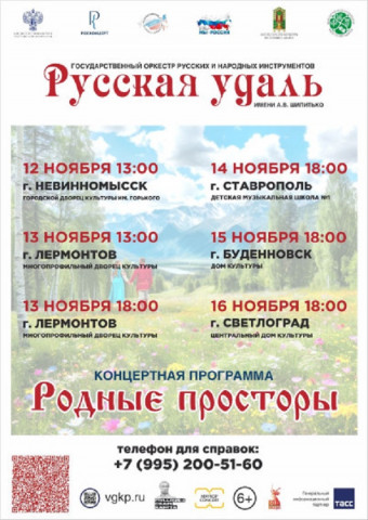 Выступление оркестра русских народных инструментов «Русская удаль» им. А.В.Шипитько