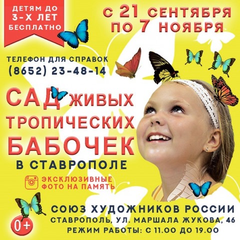 Выставка живых тропических бабочек в Ставрополе в 2021 году