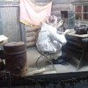 Солнечнодольским казачатам подарили поездку по городам-героям Беларуси