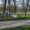 Ставрополь обработал почти 700 тысяч кв. метров от клещей