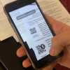 Система дистанционного электронного голосования (ДЭГ)