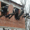 СОБР «Зверобой»