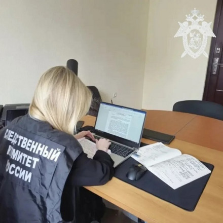 В Михайловске следователи СК России нашли пропавшую 16-летнюю девушку