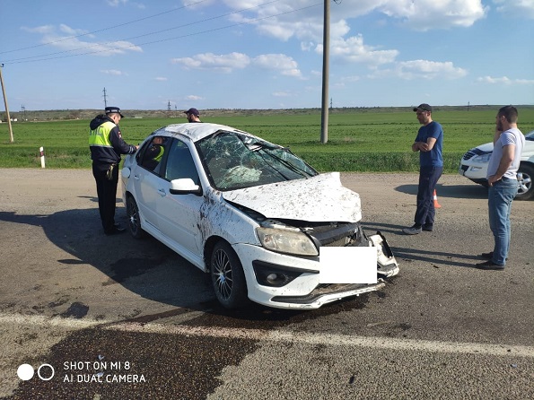 Четыре человека пострадали в Грачевском районе в столкновении трех автотранспортных средств.