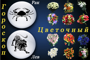 Язык цветов и цветочный гороскоп – красивые легенды или правда?