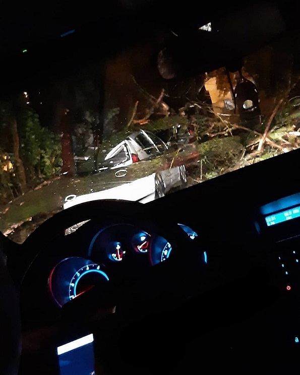 В Ставрополе в сильный ливень 6 сентября дерево свалилось на машину на улице Морозова